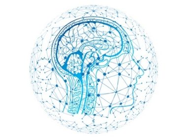 Insurance CEOs stress AI should not erode personalisation & face-to-face interaction: Sollers report